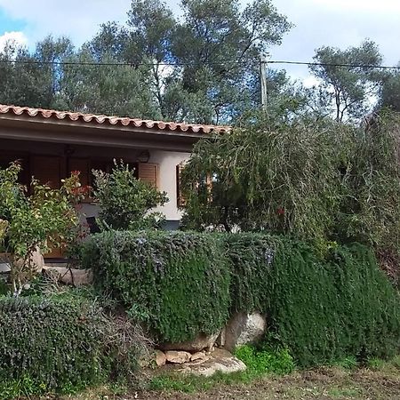 Casa-Lesia Villa ปอร์โต-เวคคีโอ ภายนอก รูปภาพ